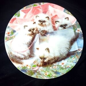 "All Wrapped Up" Himalayans